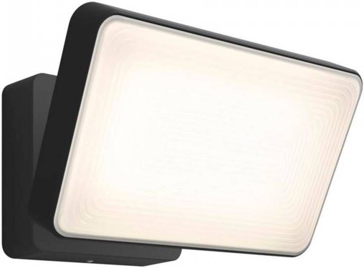 Classificeren bekken Nauwkeurig Merkloos Philips Hue Discover White And Color Ambiance Floodlight Zw -  Lampenwinkel.org